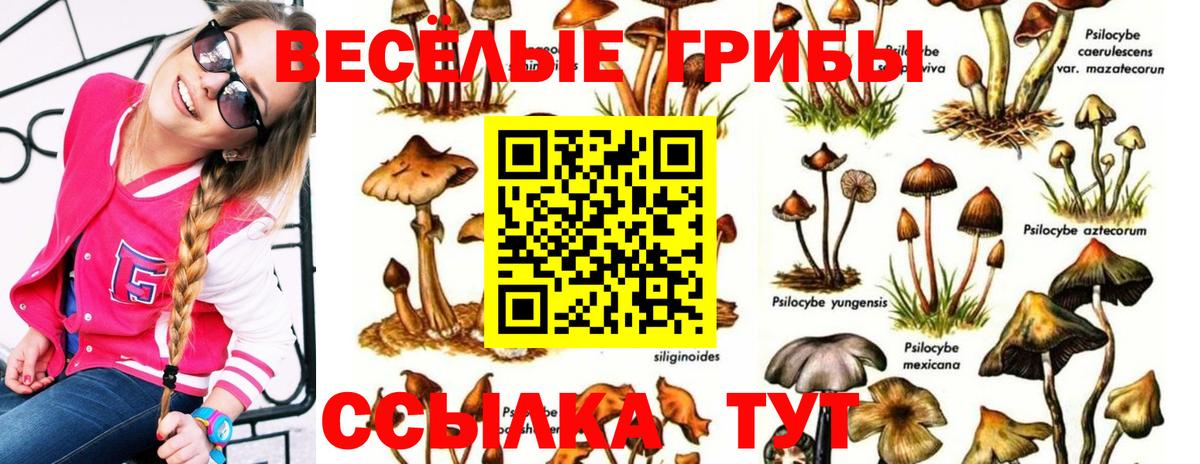 Мытищи  Псилоцибиновые грибы ЛСД  Вход с VPN 